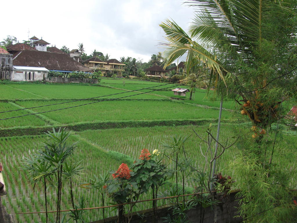 Gerhana Sari 2 Bungalows Ubud  Exterior photo